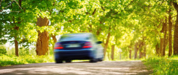 Voiture équipée de pneus été sur une route ensoleillée bordée d'arbres